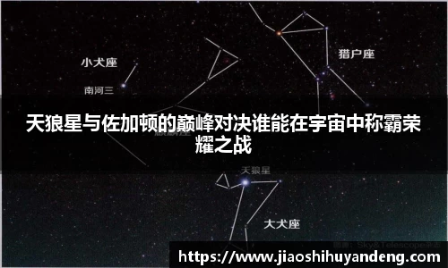 天狼星与佐加顿的巅峰对决谁能在宇宙中称霸荣耀之战